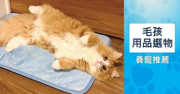 Pet living guide
