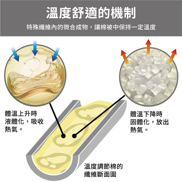 溫度舒適的機制特殊纖維內的微合成物,讓棉被中保持一定溫度體溫上升時液體化,吸收熱氣。溫度調節棉的纖維斷面圖體溫下降時固體化,放出熱氣。